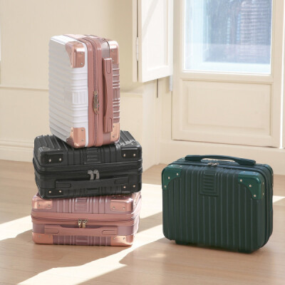 Mini/Trunk/Travel Luggage Bag/Assistant/In-Flight/TR0074