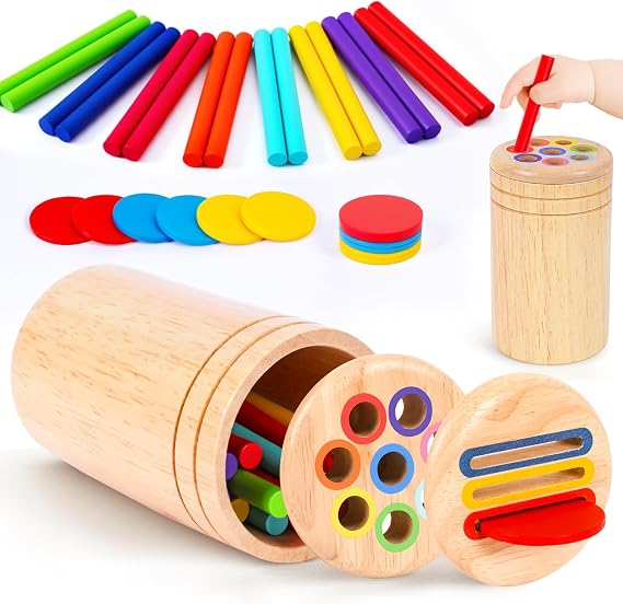 Montessori Toys for 1 2 3 Year Olds, Toddler Toys Wooden Color Sorting Toys