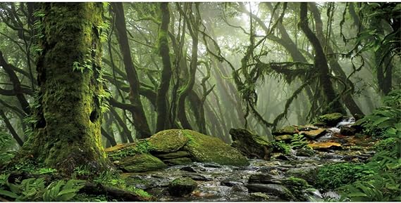 Forest Green Tree Terrarium Backdrop Reptile Habitat Background 48x18 in